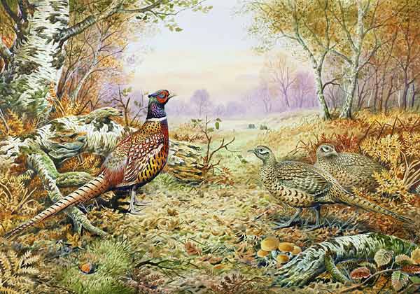 Pheasants in Woodland  van Carl  Donner
