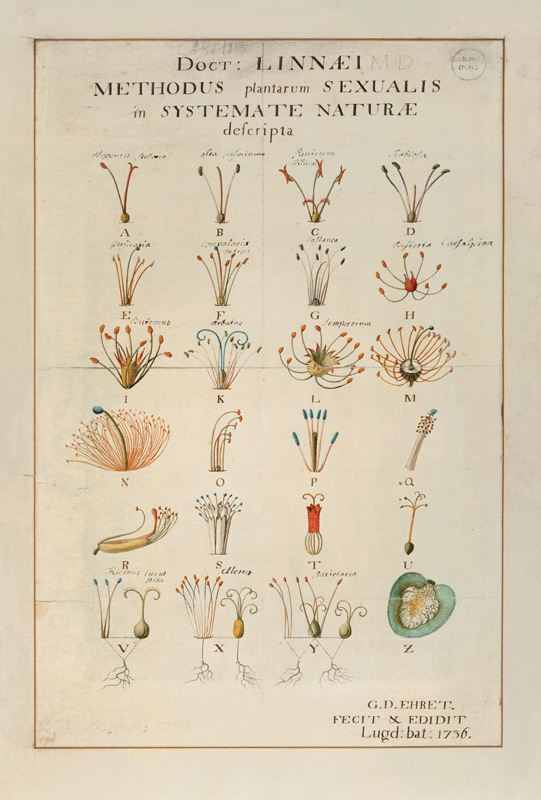 Plant Sexual System van Carl Linnaeus