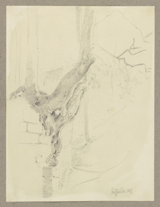 Alter Baum, auf einer geborstenen Mauer wachsend van Carl Theodor Reiffenstein