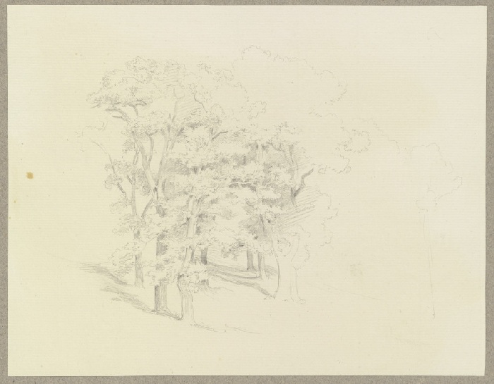 Trees on a slope van Carl Theodor Reiffenstein
