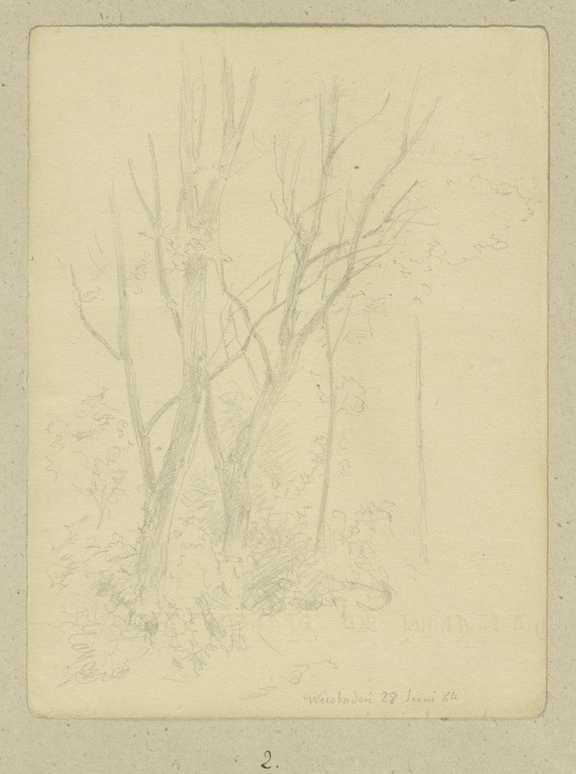 Group of trees van Carl Theodor Reiffenstein