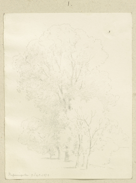 Row of trees van Carl Theodor Reiffenstein