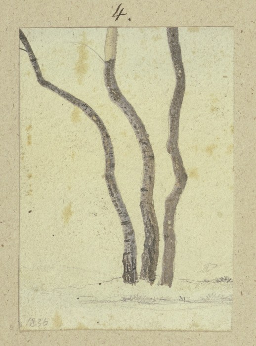 Three trees van Carl Theodor Reiffenstein