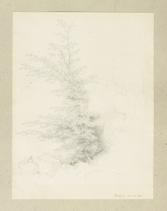 Junger Baum bei Bertrich van Carl Theodor Reiffenstein