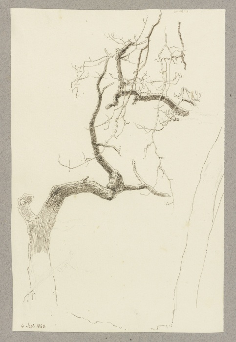 Leafless tree van Carl Theodor Reiffenstein