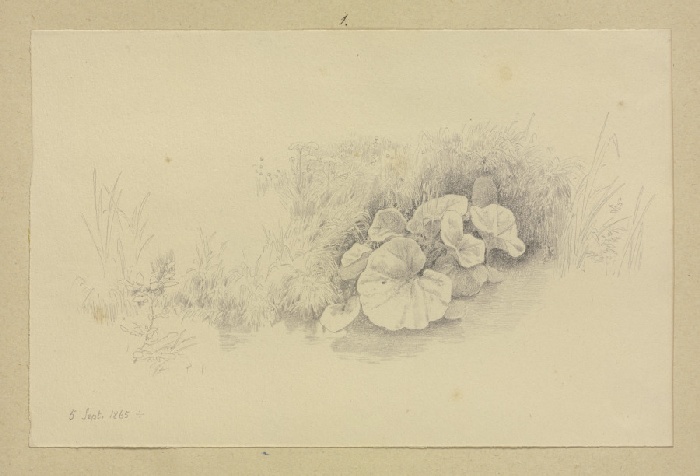 Rasenstück mit großblättriger Pflanze van Carl Theodor Reiffenstein