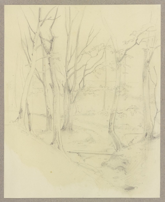 Von Bäumen umstandener Bachlauf mit einem Steg van Carl Theodor Reiffenstein