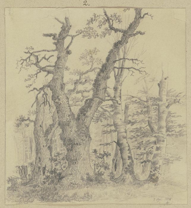 Forest scene van Carl Theodor Reiffenstein