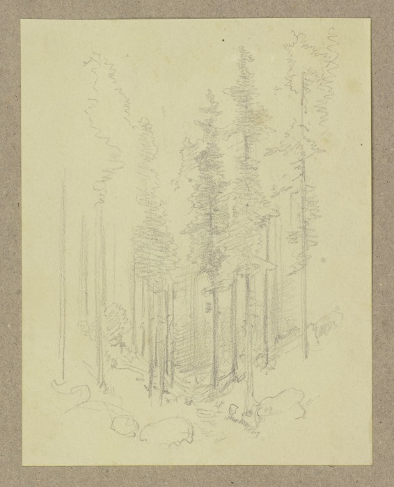 Waldpartie in einer Talsenke van Carl Theodor Reiffenstein