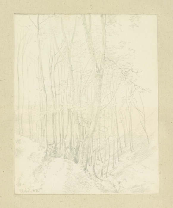 Waldstück in einer Talsohle van Carl Theodor Reiffenstein