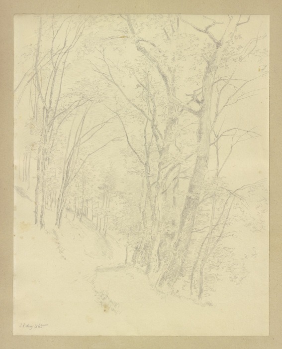 Forest path van Carl Theodor Reiffenstein
