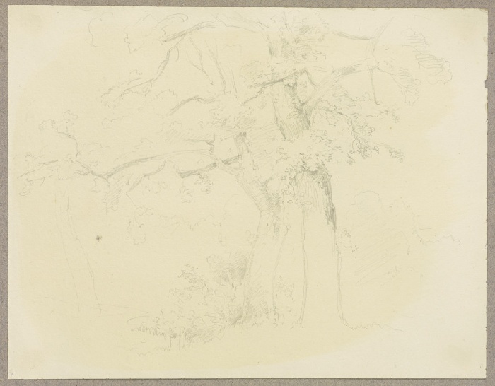 Two trees van Carl Theodor Reiffenstein