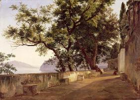 Garden of the Capuchin Friars, near Sorrento, 1827 (oil on canvas)