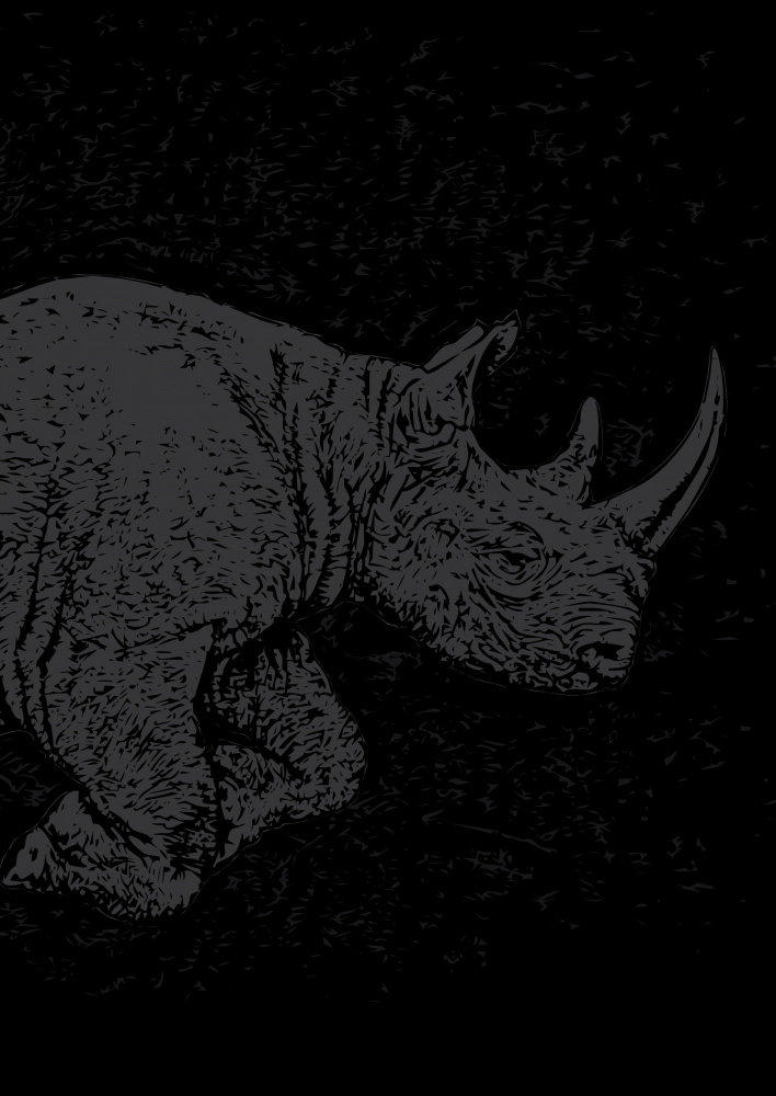 Black Rhino Charging van Carlo Kaminski