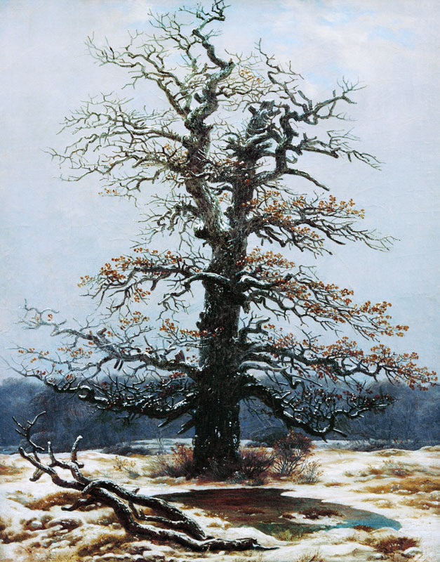 Eiche im Schnee van Caspar David Friedrich