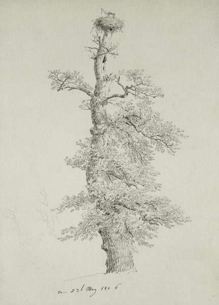 Ancient Oak Tree with a Stork's Nest van Caspar David Friedrich