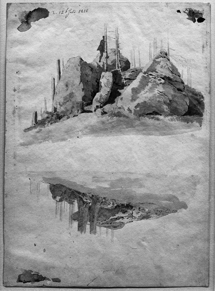 Rocks and trees van Caspar David Friedrich