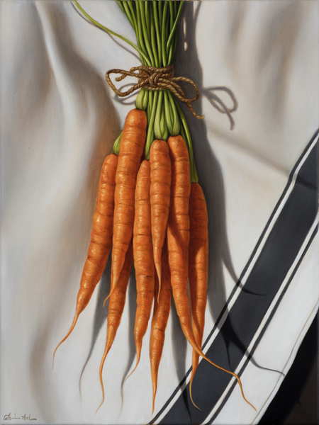 Still Life with Carrots van Catherine  Abel