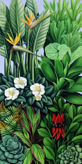 Foliage II, 2005 (oil on canvas)  - Catherine  Abel