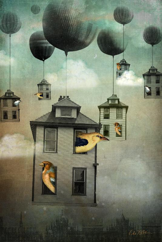 Birdhouse van Catrin Welz-Stein