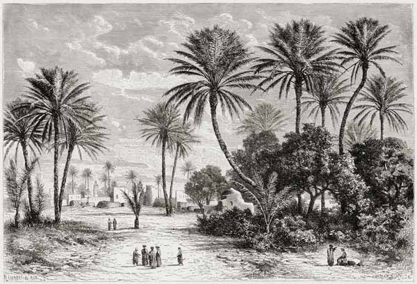 Oasis of Gafsa: Tunis van Charles Barbant