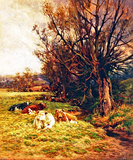 Cattle grazing van Charles James Adams