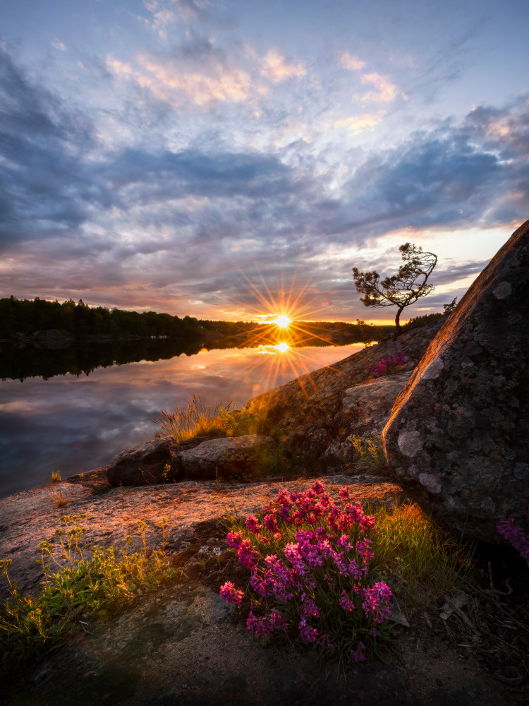 Flowers in sunset van Christian Lindsten