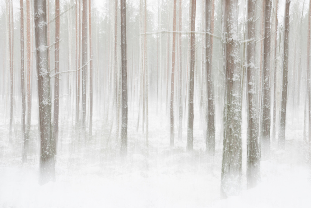 Winterforest in Sweden van Christian Lindsten