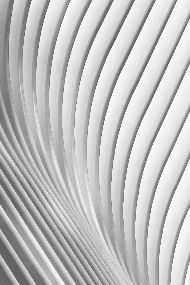 Calatrava Lines van Christopher Budny
