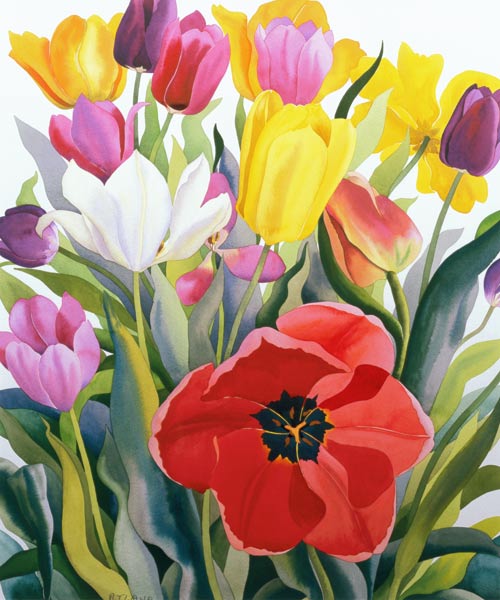 Tulips van Christopher  Ryland