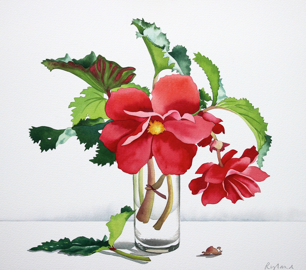 Red Begonia van Christopher  Ryland