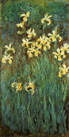 The Yellow Irises