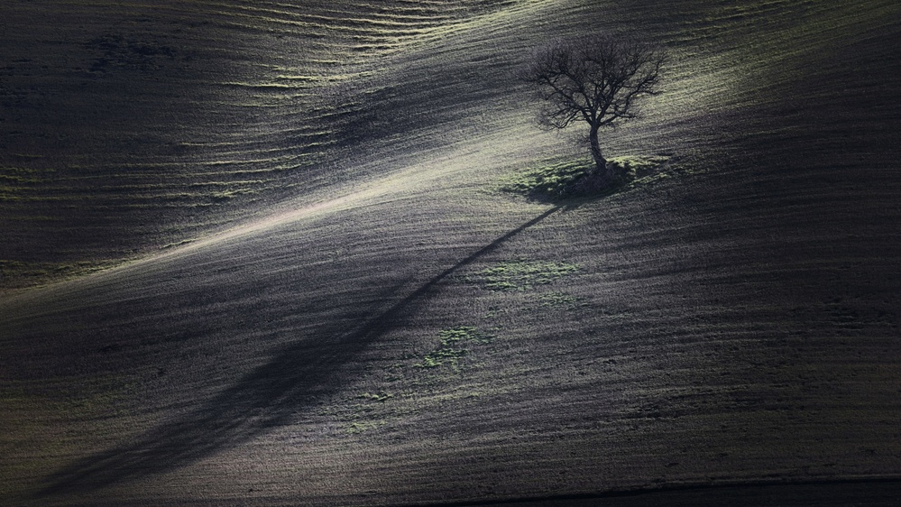 the long shadow van Claudio Moretti