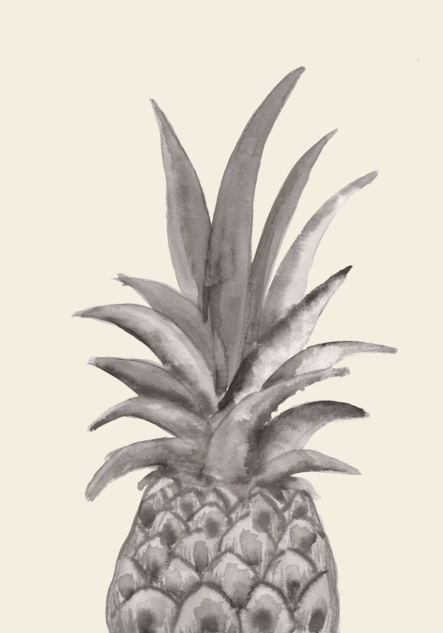 Ink Pineapple van Graphic Collection