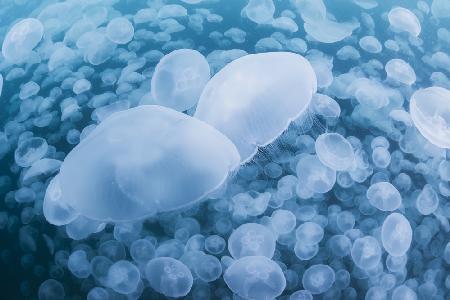 Underwater Cloud