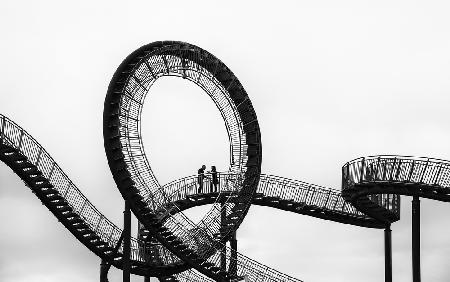 tiger and turtle