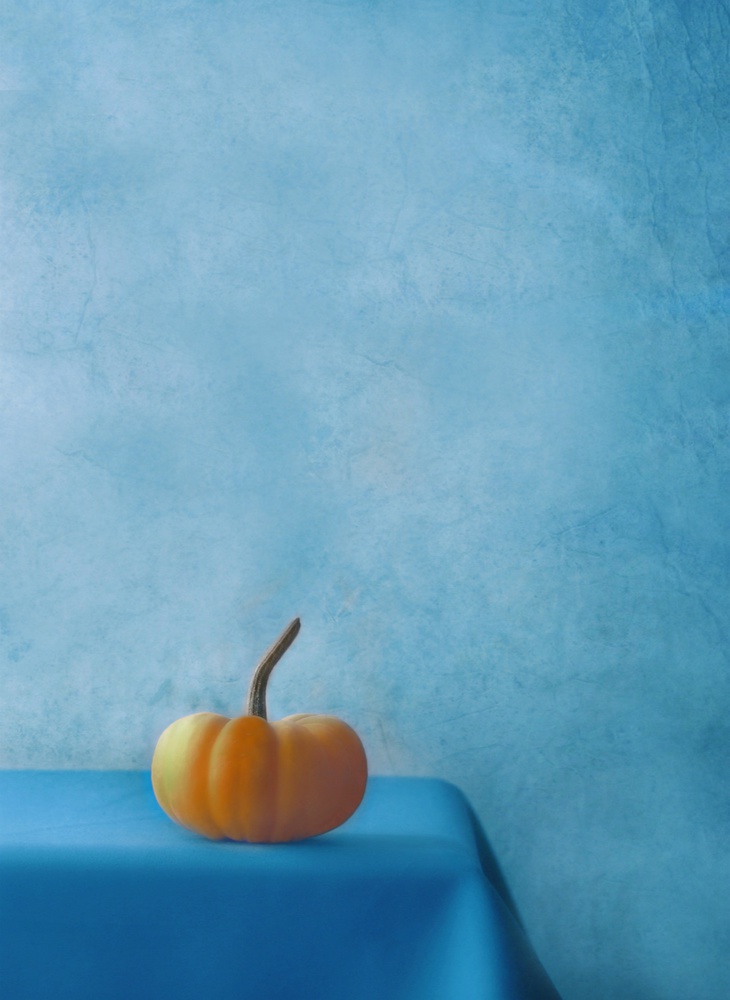 Pumpkin on Blue van Delphine Devos