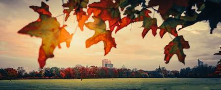 Rosental Leipzig im Herbst.jpg (7107 KB) 