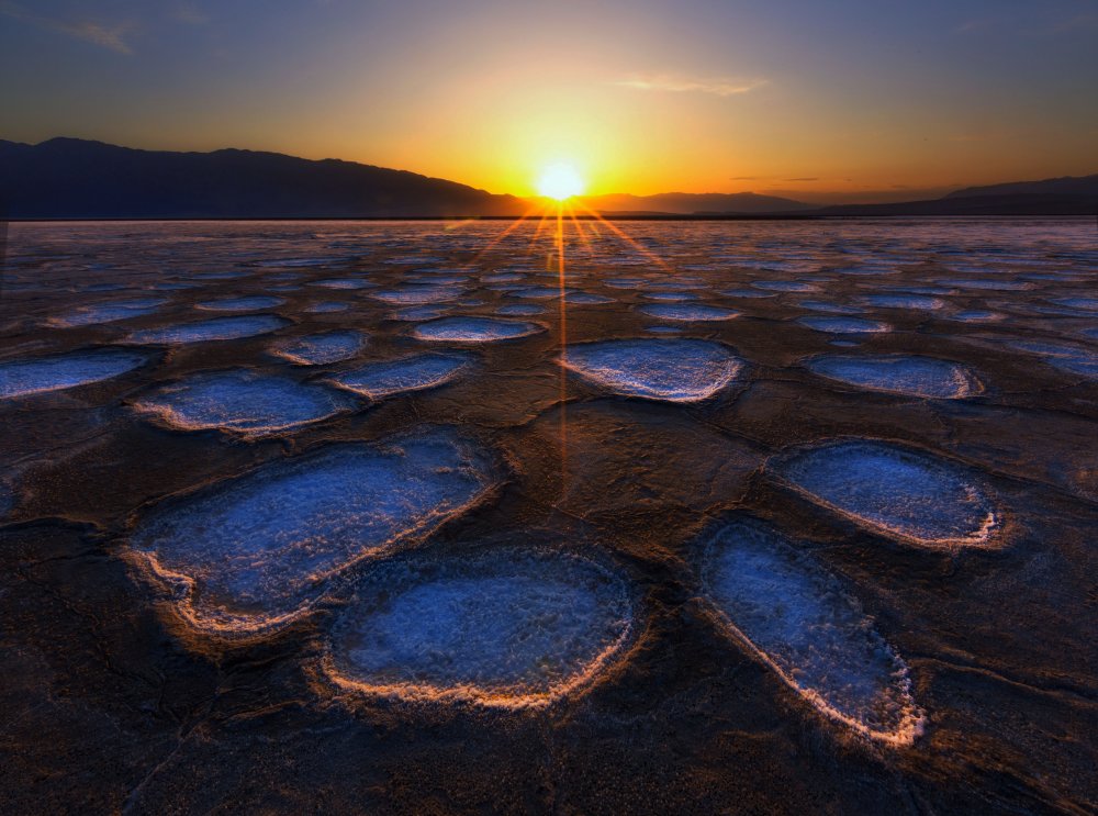 Crystal Flower in Death Valley van Dianne Mao