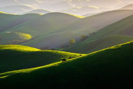 Afternoon light on hills