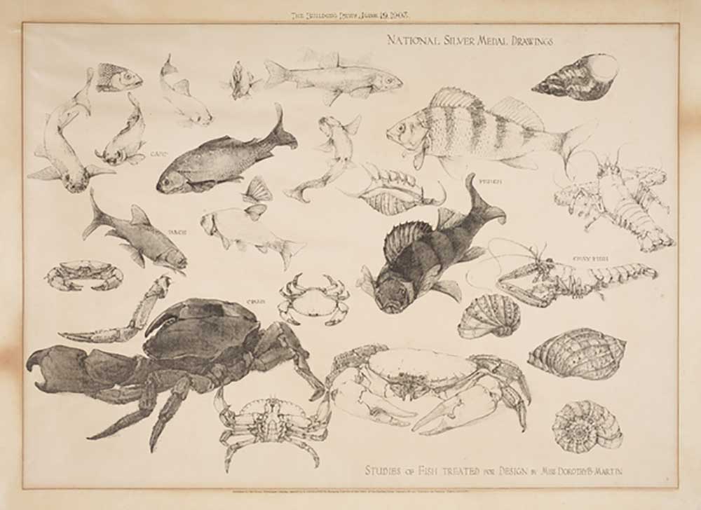 Studies of Fish Treated for Design, 1903 van Dorothy Martin