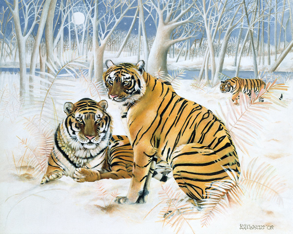 Tigers in the Snow van E.B.  Watts