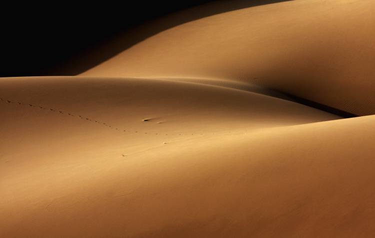 Desert and the human torso van Ebrahim Bakhtari bonab