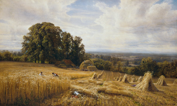 Getreideernte van Edmund George Warren