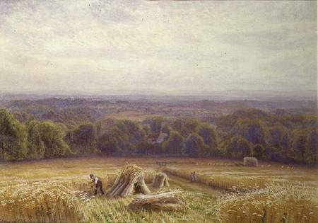 Harvesting van Edmund George Warren