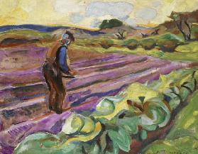 The sower