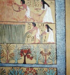 Detail of a harvest scene on the East Wall, from the Tomb of Sennedjem, The Workers' Village, New Ki