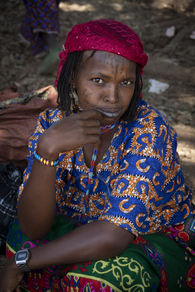 Fulani woman at Poli market, Cameroon van Elena Molina