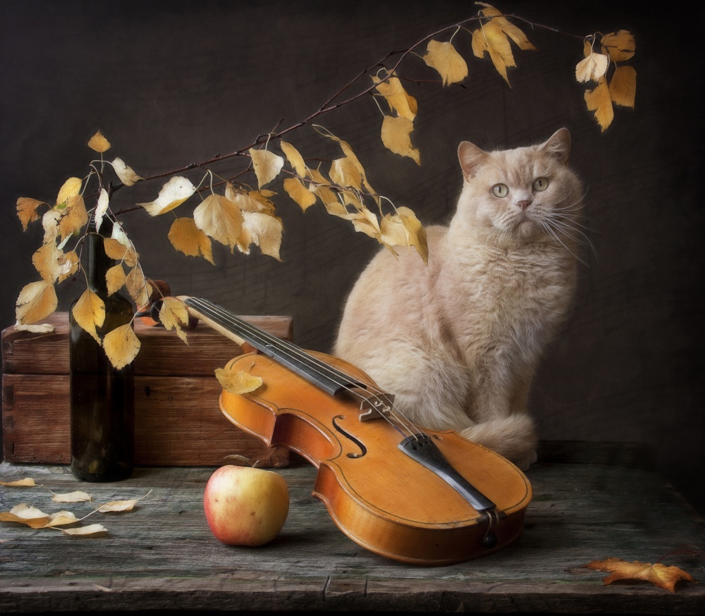 Autumn Melody for  Сat  and violin van Eleonora Grigorjeva