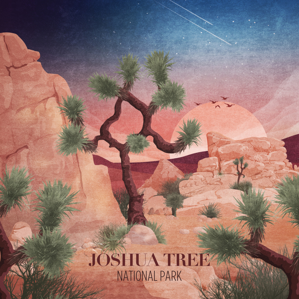 Joshua Tree van Emel Tunaboylu